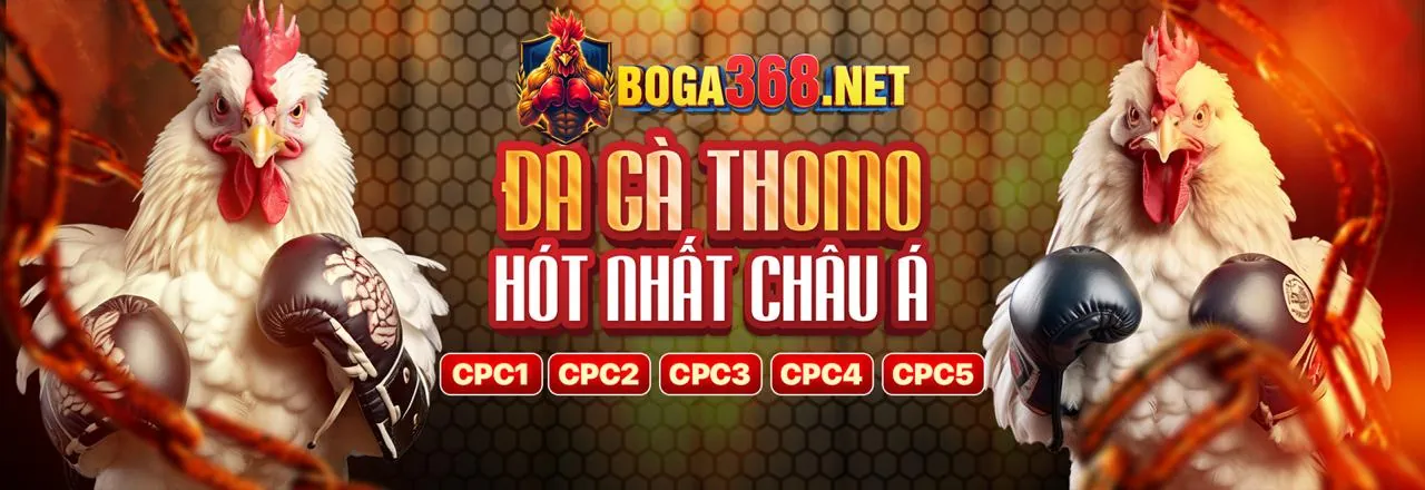 Phân tích dữ liệu